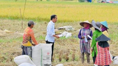 Nunukan Pastikan Stok Pangan Aman, Meskipun Pasokan dari Sulawesi Selatan Terancam Gagal Panen